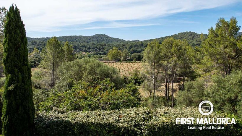 Real Estates Pollensa 38 Ref. 77049