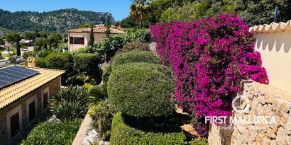 Real Estates picture 46 Ref. 81732