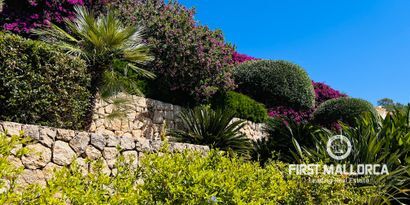 Real Estates picture 45 Ref. 81732