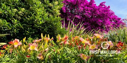 Real Estates picture 13 Ref. 81732