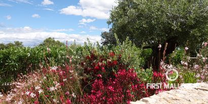 Real Estates picture 9 Ref. 81732