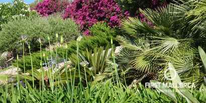 Real Estates picture 12 Ref. 81732