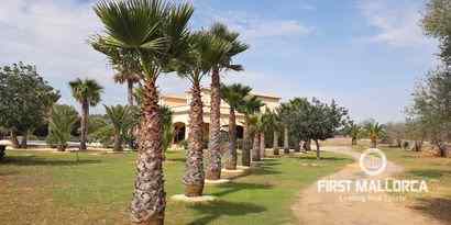 Real Estates picture 24 Ref. Nr. 69542