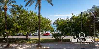 Inmobiliaria picture 7 Ref. Nº. 68211