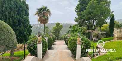 Real Estates picture 29 Ref. 69856