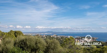 Real Estates picture 79 Ref. 69856