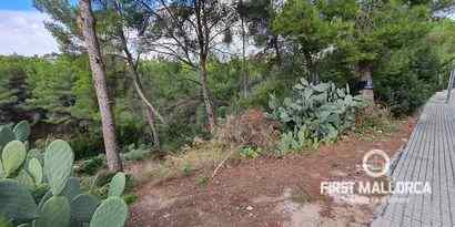 Inmobiliaria picture 0 Ref. Nº. 70218
