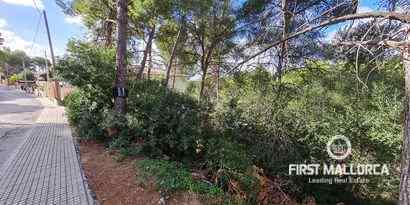 Inmobiliaria picture 1 Ref. Nº. 70218