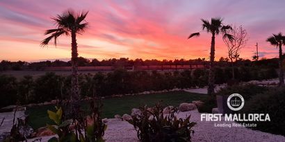 Inmobiliaria picture 14 Ref. Nº. 63768