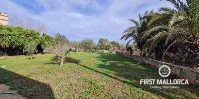 Immobilien picture 2 Ref. Nr. 70709