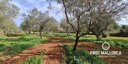 Immobilien picture 11 Ref. Nr. 70709