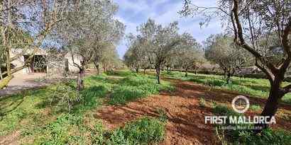 Immobilien picture 17 Ref. Nr. 70709