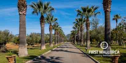 Real Estates picture 11 Ref. Nr. 71228