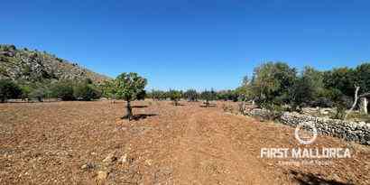 Real Estates picture 17 Ref. 72173