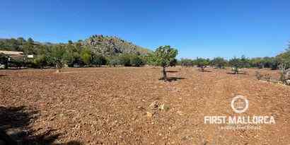 Real Estates picture 16 Ref. 72173