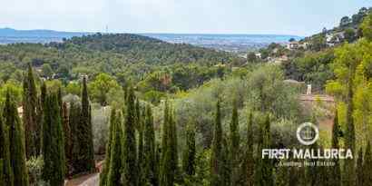 Real Estates picture 10 Ref. R16587