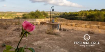 Immobilien picture 12 Ref. Nr. 71719