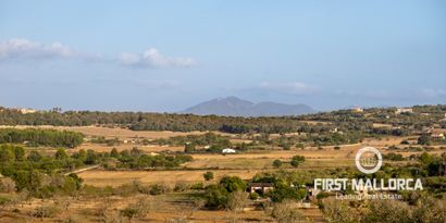 Immobilien picture 4 Ref. Nr. 71719