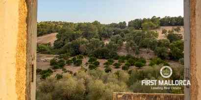 Immobilien picture 7 Ref. Nr. 71719