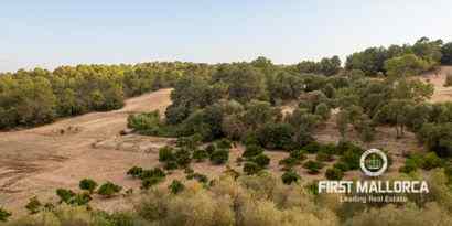 Immobilien picture 6 Ref. Nr. 71719