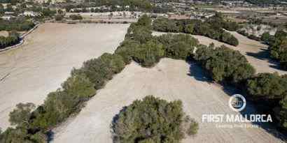 Immobilien picture 36 Ref. Nr. 71719