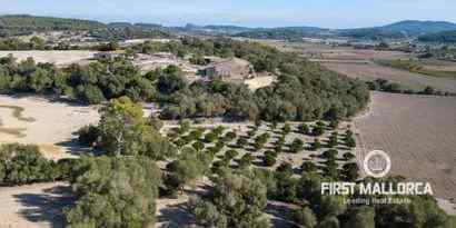 Immobilien picture 3 Ref. Nr. 71719