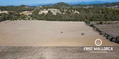 Immobilien picture 32 Ref. Nr. 71719