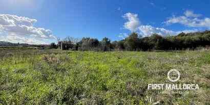 Real Estates picture 2 Ref. 73251