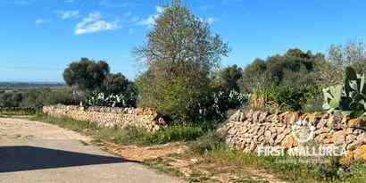 Inmobiliaria picture 3 Ref. Nº. 73703