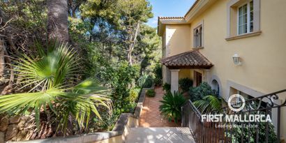 Inmobiliaria picture 38 Ref. Nº. 73686