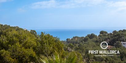 Inmobiliaria picture 40 Ref. Nº. 73686