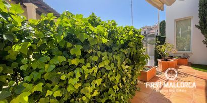 Real Estates picture 7 Ref. R7480