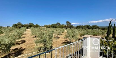 Inmobiliaria picture 24 Ref. Nº. 74279