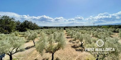 Inmobiliaria picture 28 Ref. Nº. 74279