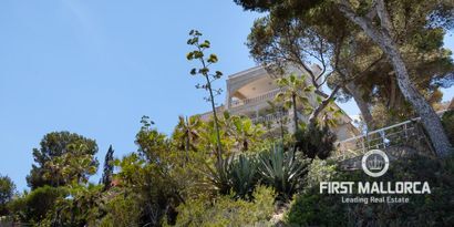 Inmobiliaria picture 16 Ref. Nº. 66092