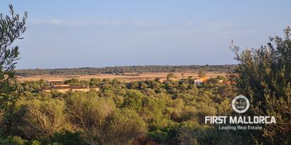 Inmobiliaria picture 0 Ref. Nº. 74655