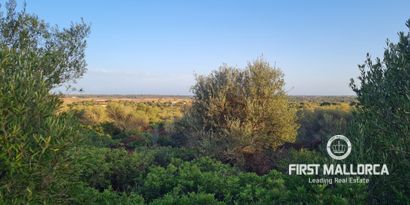 Inmobiliaria picture 3 Ref. Nº. 74655