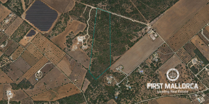 Inmobiliaria picture 1 Ref. Nº. 74655