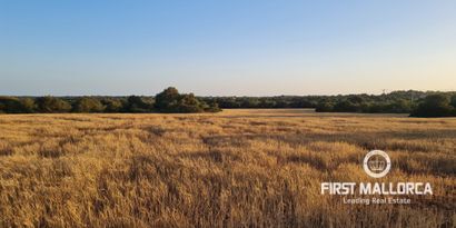 Inmobiliaria picture 2 Ref. Nº. 74654