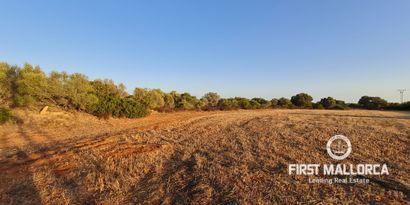 Inmobiliaria picture 0 Ref. Nº. 74654