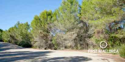 Inmobiliaria picture 0 Ref. Nº. 51028