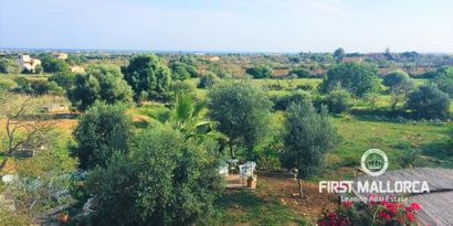 Inmobiliaria picture 1 Ref. Nº. 75386