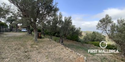 Real Estates picture 14 Ref. 75323