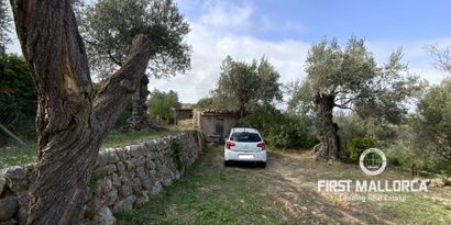 Real Estates picture 9 Ref. 75323