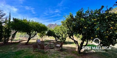 Real Estates picture 4 Ref. Nr. 75536