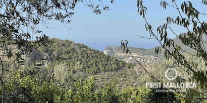 Real Estates picture 4 Ref. 75323