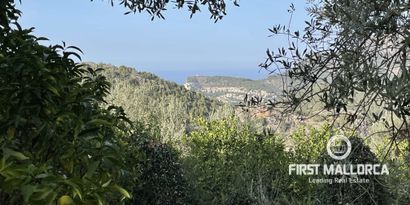 Real Estates picture 19 Ref. 75323