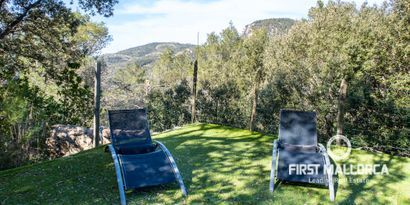 Real Estates picture 13 Ref. 72752