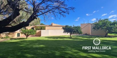 Real Estates picture 0 Ref. R22117