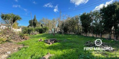 Real Estates picture 18 Ref. R22117